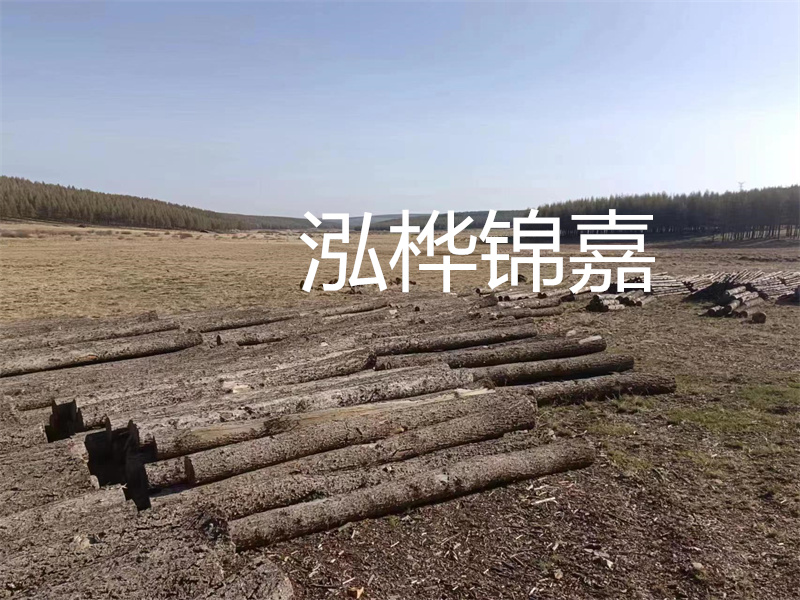 鄂州松木樁哪里好？推薦泓樺錦嘉松木樁業(yè)！